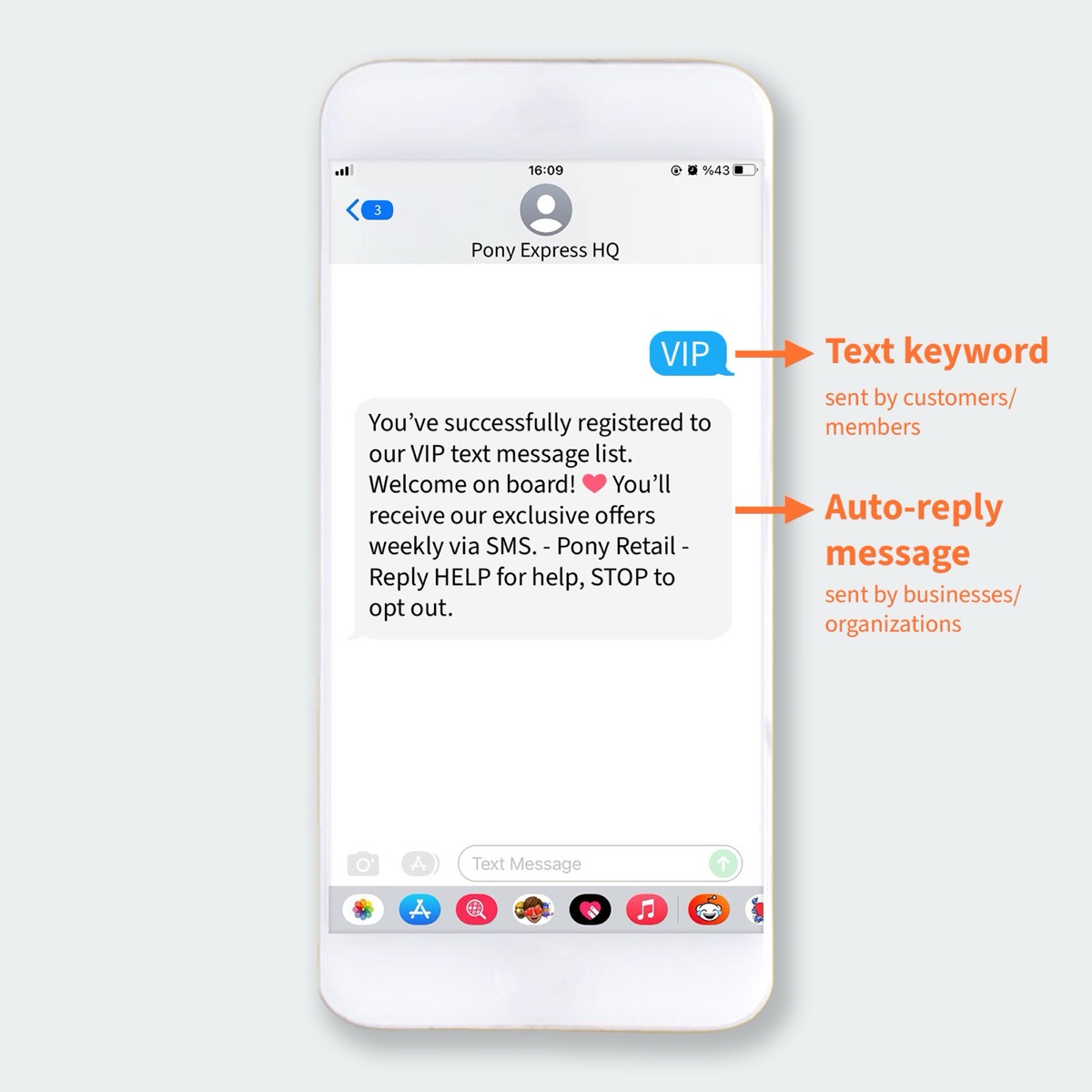 Text keyword and auto-reply message example in SMS marketing