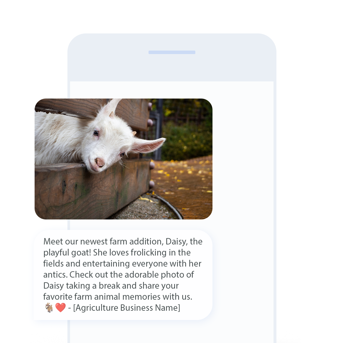agriculture business MMS marketing example