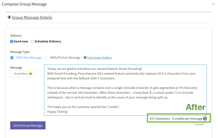Texting after smart encoding - SMS marketing dashboard